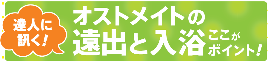 達人に訊く オストメイトの遠出と入浴ここがポイント ナースの星 医療従事者 看護師向けのお役立ち情報サイト