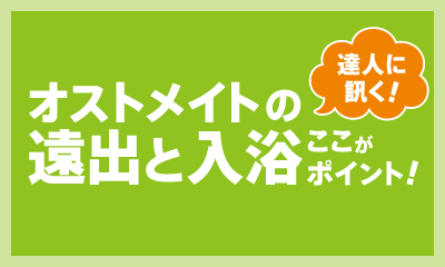 達人に訊く オストメイトの遠出と入浴ここがポイント ナースの星 医療従事者 看護師向けのお役立ち情報サイト