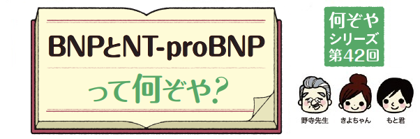 BNPとNT-proBNPて何ぞや